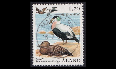 20 o Haahka lintu LOISTO (1987)