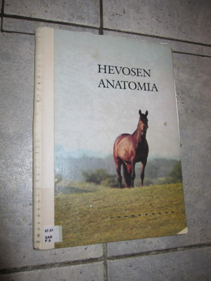 HEVOSEN ANATOMIA ! björn sandgren