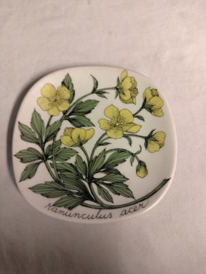 tomula niittyleinikki