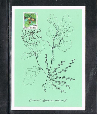 Maksimikortti - Tammi -91