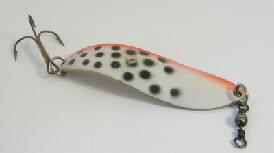 Kuusamo taimen 7,5cm