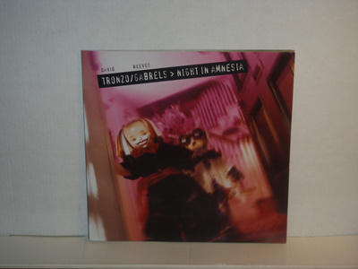 David Tronzo*Reeves Gabrels CD Night In Amnesia