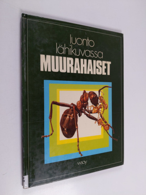 Luonto lähikuvassa 3 : Muurahaiset