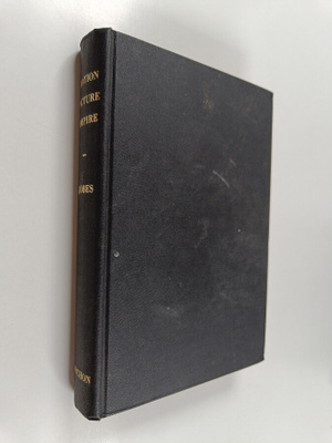 Gertrude Jobes : Motion Picture Empire
