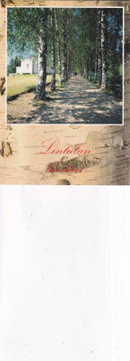 Palokki. Lintulan luostari, b707