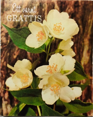 Ett varmt Grattis kirjekortti foto 15,5 x 12,5 cm
