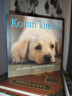 Koiran kujeita - Koiramaisia näkemyksiä elämästä