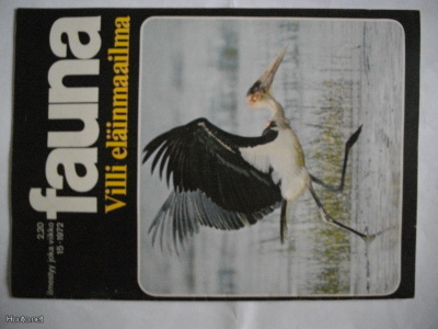 Fauna - villi eläinmaailma Nro 15/1972 (9.11)