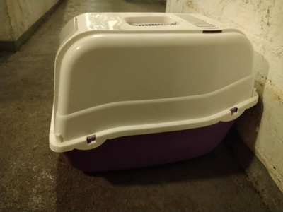 Hiekkalaatikko kissalle.
