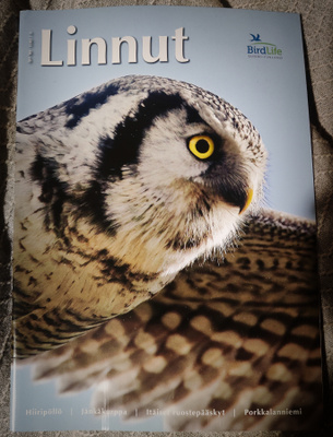 LINNUT - lehti 4/2013 BirdLife