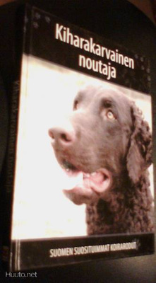 KIHARAKARVAINEN NOUTAJA (Suomen suosituimmat koirarodut)