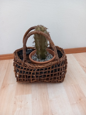 Tekokukka korissa
