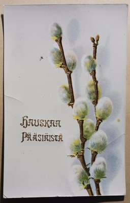 Pajunkissoja, kultausta, k. k-k