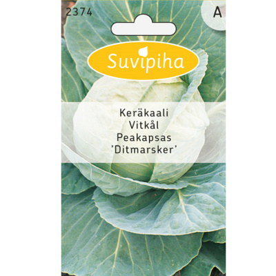 Keräkaali siemenet "Ditmarsker" #