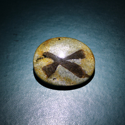 Stauroliitti kideristi X emäkivessä 242.40ct Kuolan niemimaa