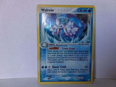 Pokemonkortti Walrein