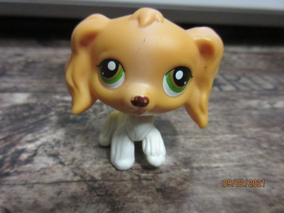 Littlest Pet Shop cockerspanieli.