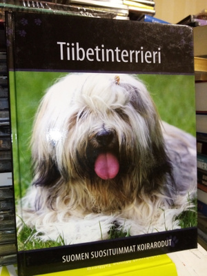 TIIBETINTERRIERI SUOMEN SUOSITUIMMAT KOIRARODUT