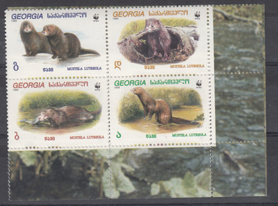 GEORGIA WWF-sarja 1999 **