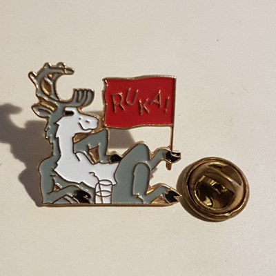 RUKA PINSSI