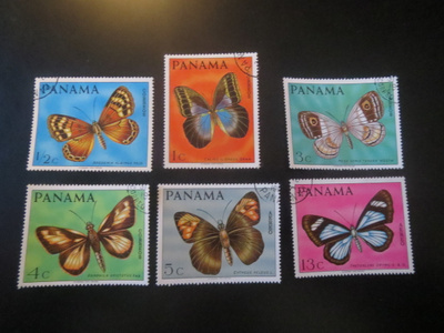 Panama: perhosia