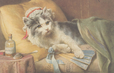 Kissa sairastaa