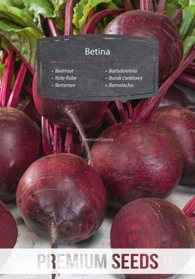 Punajuuri "Betina" - siemenet #