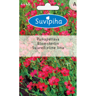 Punapellava siemenet #