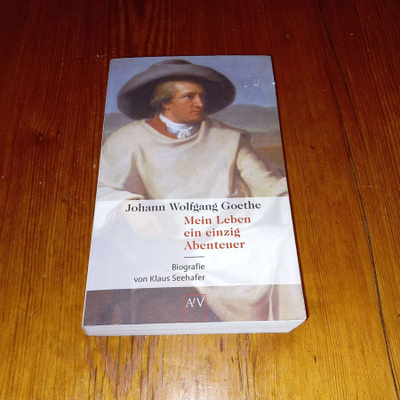 Mein Leben ein einzig Abenteuer - Johann Wolfgang Goethe