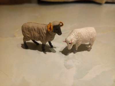 Lammas ja Pässi