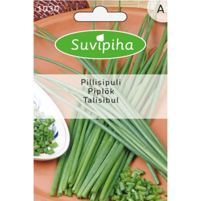 Pillisipuli siemenet #