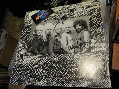 KING KOBRA 12'' INNER SLEEVE KOLMELLA NIMMARILLA