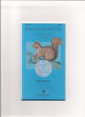Maastokartta 1:20 000 Pelleskylä