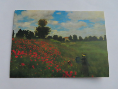 Monet: Unikkopelto, tk