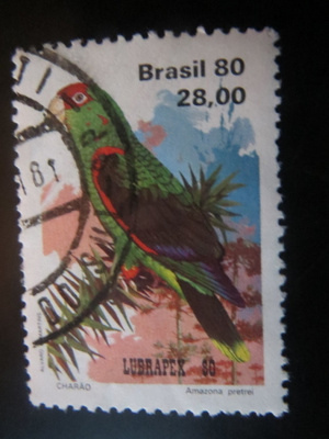 Brasilia 1980: papukaija
