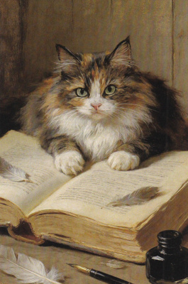Kissa kortti