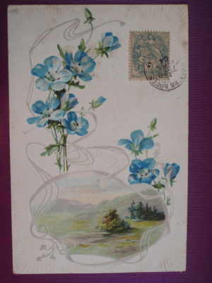 Kohopainetut sinivuokot ja vehreä maisema WANHA 1904