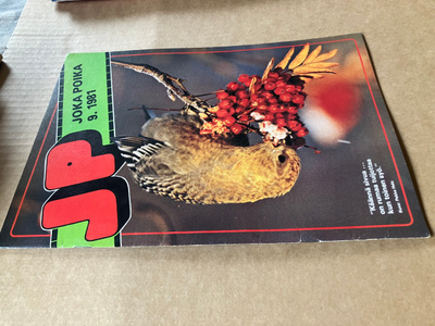 JOKA POIKA LEHTI 9/1981 HYVÄ