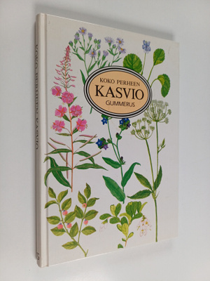 Koko perheen kasvio
