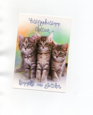 °°YSTÄVYYDESTÄMME ILOITSEN...°° -KORTTI / N.Ramstadius