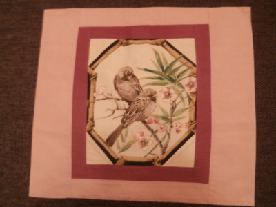TYYNYNPÄÄLLINEN  22. LINNUT OKSALLA