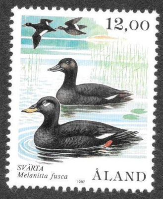 Lintuja 12,00 1987 (LAPE 22) **
