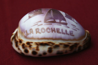 Simpukka La Rochelle