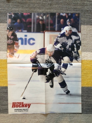 Zigmund Palffy/ Jevgeni Nabokov. Pro Hockey.