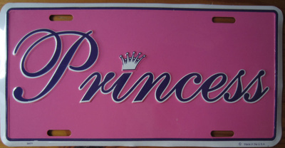 Princess - Metallinen taulu 15,5x31,7cm