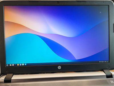 HP Pavilion15-ab116no, LinuxMint 22,3