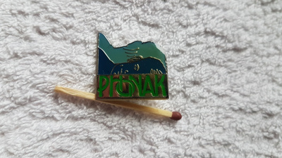 Phonak pinssi