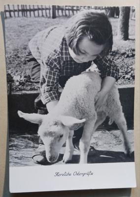 Pikkutyttö hoivaa karitsaa, Pääsiäispk, DDR p. 1966