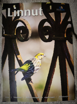 LINNUT - lehti 2/2011 BirdLife