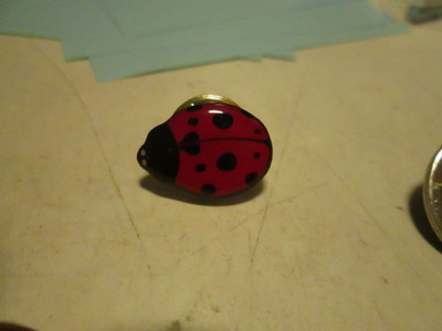 pinssi